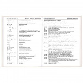 Дневник 5-11 класс 48л, твердый, BRAUBERG, выборочный лак, с подсказом, Кот-Непоседа, 107616