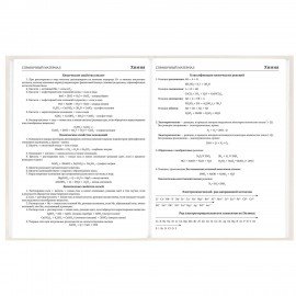 Дневник 5-11 класс 48л, твердый, BRAUBERG, выборочный лак, с подсказом, Кот-Непоседа, 107616