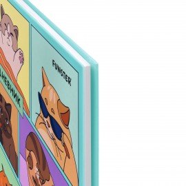 Дневник 5-11 класс 48л, твердый, FUNSTER, выборочный лак, с подсказом, Мемные коты, 107617