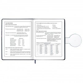 Дневник 1-4 класс 48л, кожзам (твердая), застежка, ЮНЛАНДИЯ, Футбол, 107636