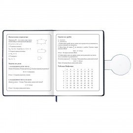 Дневник 1-4 класс 48л, кожзам (твердая), застежка, ЮНЛАНДИЯ, Футбол, 107636