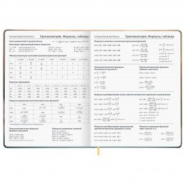 Дневник 1-11 класс 48л, кожзам (твердая), брелок, BRAUBERG, Цыпа, 107644