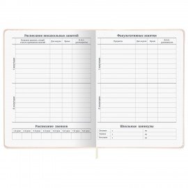 Дневник 1-11 класс 48л, кожзам (твердая), брелок, BRAUBERG, Мемы Коты, 107646