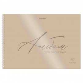Альбом для рисования, пластиковая обложка, А4 40л., гребень, BRAUBERG, 210х297мм, ОДНОТОННЫЕ (4 вида), 107681