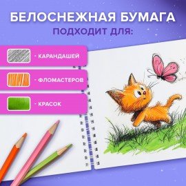 Альбом для рисования, пластиковая обложка, А4 40л., гребень, BRAUBERG, 210х297мм, ОДНОТОННЫЕ (4 вида), 107681