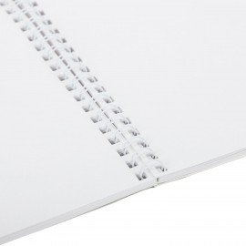 Альбом для рисования, пластиковая обложка, А4 40л., гребень, BRAUBERG, 210х297мм, ОДНОТОННЫЕ (4 вида), 107681