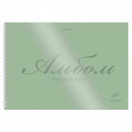 Альбом для рисования, пластиковая обложка, А4 40л., гребень, BRAUBERG, 210х297мм, ОДНОТОННЫЕ (4 вида), 107681