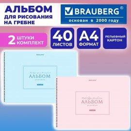 Альбомы д/рис. ДЭК, А4, 40 л., КОМПЛЕКТ 2 шт., гребень, рельефный картон, BRAUBERG, 200х290 мм, "Однотонные", 107745