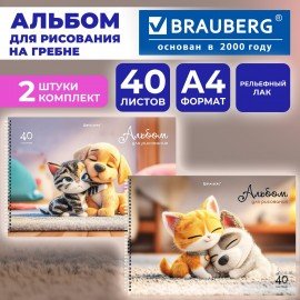 Альбомы для рисования ДЭК, А4, 40 л., КОМПЛЕКТ 2 шт., гребень, TWIN-лак, BRAUBERG, 200х290 мм, "Friends", 107750