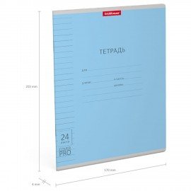 Тетрадь обложка пластик, 24л. линия, ErichKrause КЛАССИКА, CoverPrо fizzy (микс в спайке), 56375