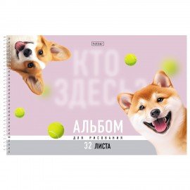 Альбом д/рис. А4 32л., спираль, Soft-touch ламинация, HATBER, 198х300мм, Кто здесь? (, 32А4лВсп