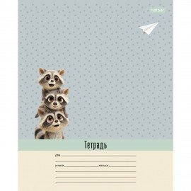 Тетрадь 18л. HATBER клетка, обложка картон, ВОТ ЕНОТ (микс в спайке), 096746, 18Т5В1