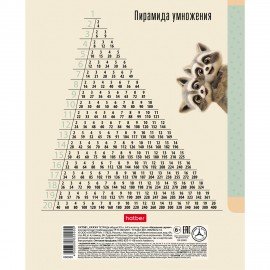 Тетрадь 18л. HATBER клетка, обложка картон, ВОТ ЕНОТ (микс в спайке), 096746, 18Т5В1