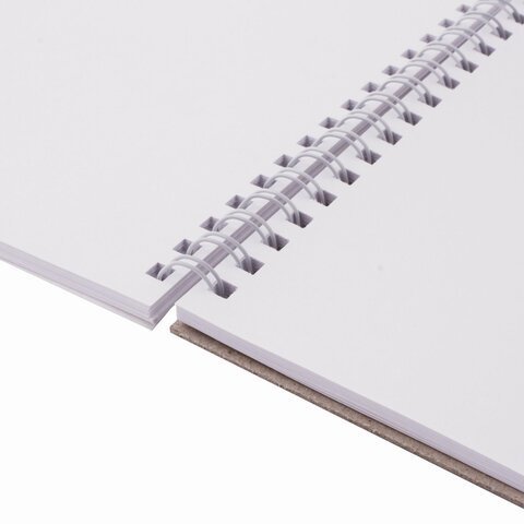 Скетчбук, белая бумага 100 г/м2, 205х290 мм, 50 л., гребень, жёсткая подложка, BRAUBERG ART DEBUT, 110983