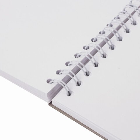 Скетчбук, белая бумага 160 г/м2, 205х290 мм, 30 л., гребень, жёсткая подложка, BRAUBERG ART DEBUT, 110985