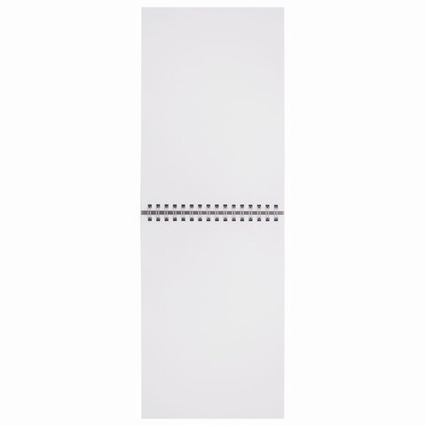 Скетчбук, белая бумага 160 г/м2, 145х205 мм, 30 л., гребень, жёсткая подложка, BRAUBERG ART DEBUT, 110989