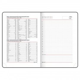 Ежедневник недатированный А5 138х213 мм BRAUBERG "Rainbow" под кожу, 136 л., розовый, 111665