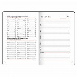 Ежедневник недатированный А5 (138х213 мм), BRAUBERG VISTA, под кожу, гибкий, 136 л., "Birds", 112021