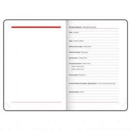 Ежедневник недатированный B6 (127х186 мм), BRAUBERG VISTA, под кожу, твердый, 136 л., "Avocado", 112112