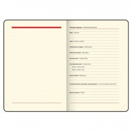 Ежедневник недатированный B6 (127х186 мм), BRAUBERG VISTA, под кожу, гибкий, 136 л., "Jazz", 112119