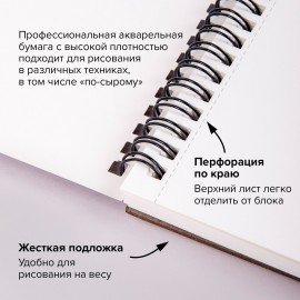 Альбом для акварели, бумага 230 г/м2, 190х270 мм, среднее зерно, 20 листов, гребень, BRAUBERG ART PREMIERE, 113215