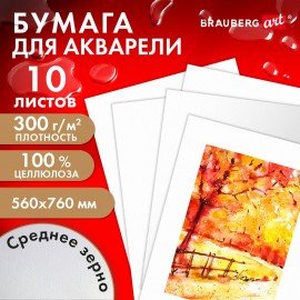 Бумага для акварели 300 г/м2 560x760 мм среднее зерно, 10 листов, BRAUBERG ART PREMIERE, 113238