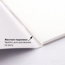 Альбом для акрила и масла, 300 г/м2, 190х270 мм, 10 листов, склейка, тиснение "холст", BRAUBERG ART PREMIERE, 113267