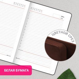 Ежедневник с магнитным клапаном недатированный, под кожу, А5, коричневый, BRAUBERG "Magnetic X", 113280