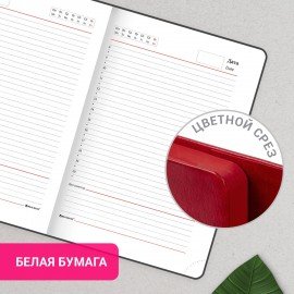 Ежедневник с магнитным клапаном недатированный, под кожу, А5, красный, BRAUBERG "Magnetic X", 113281