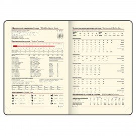 Ежедневник недатированный БОЛЬШОЙ ФОРМАТ 210х297 мм А4, BRAUBERG "Office", 160 л., красный, 113286