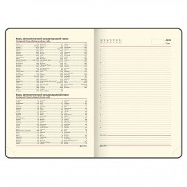 Ежедневник недатированный БОЛЬШОЙ ФОРМАТ 210х297 мм А4, BRAUBERG "Status", 160л, черный, 113360