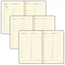 Ежедневник недатированный БОЛЬШОЙ ФОРМАТ 210х297 мм А4, BRAUBERG "Status", 160л, черный, 113360