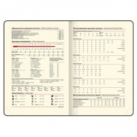 Ежедневник недатированный БОЛЬШОЙ ФОРМАТ 210х297 мм А4, BRAUBERG "Status", 160л, черный, 113360