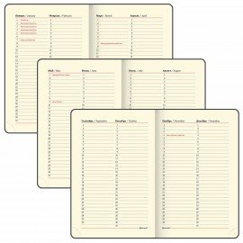 Ежедневник недатированный МАЛЫЙ 100х150 мм А6 BRAUBERG "Status", под кожу, 160 л., черный, 113366