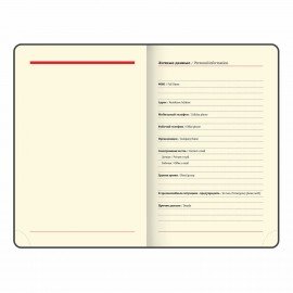 Ежедневник недатированный МАЛЫЙ 100х150 мм А6 BRAUBERG "Status", под кожу, 160 л., красный, 113367