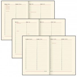 Ежедневник недатированный А5 138х213 мм BRAUBERG "FLAME", под кожу, 160 л., черный, серебряный срез, 113425