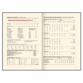 Ежедневник недатированный А5 138х213 мм BRAUBERG "FLAME", под кожу, 160 л., черный, серебряный срез, 113425