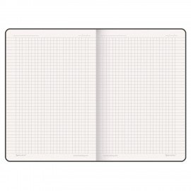 Блокнот А5 (162х218 мм), BRAUBERG "NOTE", под кожу софт-тач, с резинкой, 80 л., клетка, светло-серый, 113441