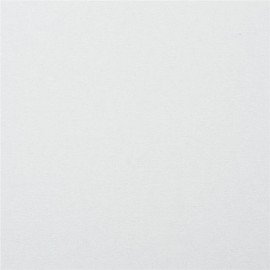 Картон белый А4 МЕЛОВАННЫЙ (белый оборот), 50 листов, BRAUBERG, 210х297 мм, 113563