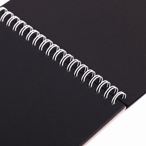 Скетчбук, черная бумага 120 г/м2, 170х195 мм, 30 л., гребень, цветная фольга, твин лак, "Тигр", 97699