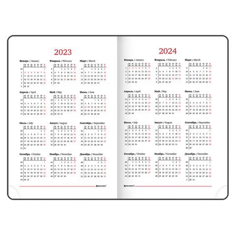 Ежедневник датированный 2023 А5 138x213 мм BRAUBERG "Holiday", под кожу, "зеркальный", золотой, 114023