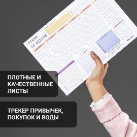 Блокнот-планер НА НЕДЕЛЮ недатированный отрывной с подложкой, 52 л., А4, 297х210 мм, BRAUBERG, 114217