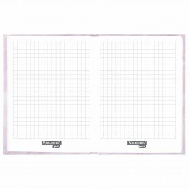 Блокнот МАЛЫЙ ФОРМАТ (110х147 мм), А6, 80 л., твёрдый, клетка, BRAUBERG KIDS, "Ёжик", 114442