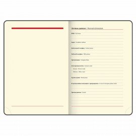 Ежедневник недатированный БОЛЬШОЙ ФОРМАТ 210х297 мм, А4, BRAUBERG Iguana, 160л, синий, 114451