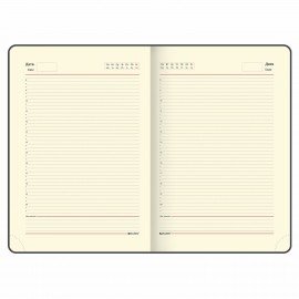 Ежедневник недатированный БОЛЬШОЙ ФОРМАТ 210х297 мм, А4, BRAUBERG Iguana, 160л, синий, 114451