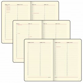 Ежедневник недатированный БОЛЬШОЙ ФОРМАТ 210х297 мм, А4, BRAUBERG Iguana, 160л, синий, 114451