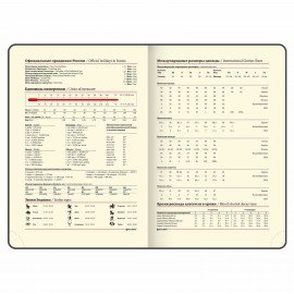 Ежедневник недатированный БОЛЬШОЙ ФОРМАТ 210х297 мм, А4, BRAUBERG Iguana, 160л, синий, 114451