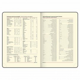 Ежедневник недатированный БОЛЬШОЙ ФОРМАТ 210х297 мм, А4, BRAUBERG Iguana, 160л, синий, 114451