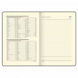 Ежедневник недатированный БОЛЬШОЙ ФОРМАТ 210х297 мм, А4, BRAUBERG Iguana, 160л, синий, 114451