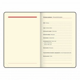 Ежедневник недатированный МАЛЫЙ ФОРМАТ 100x150 мм, А6, BRAUBERG "Iguana", под кожу, 160 л., синий, 114467